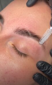 Brow5.jpeg
